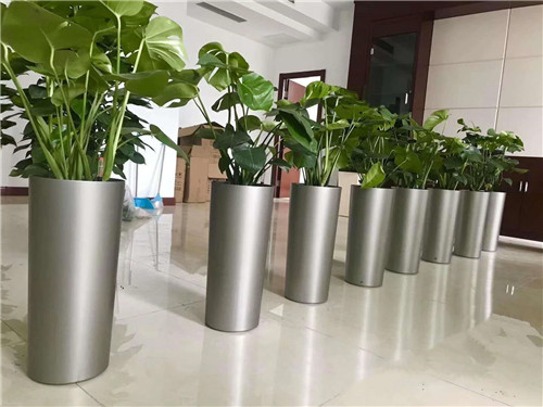 植物租賃利潤怎么樣？